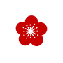 icon-04-1736561244
