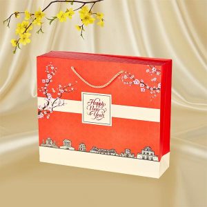 sac xuan viet