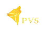 logo-20